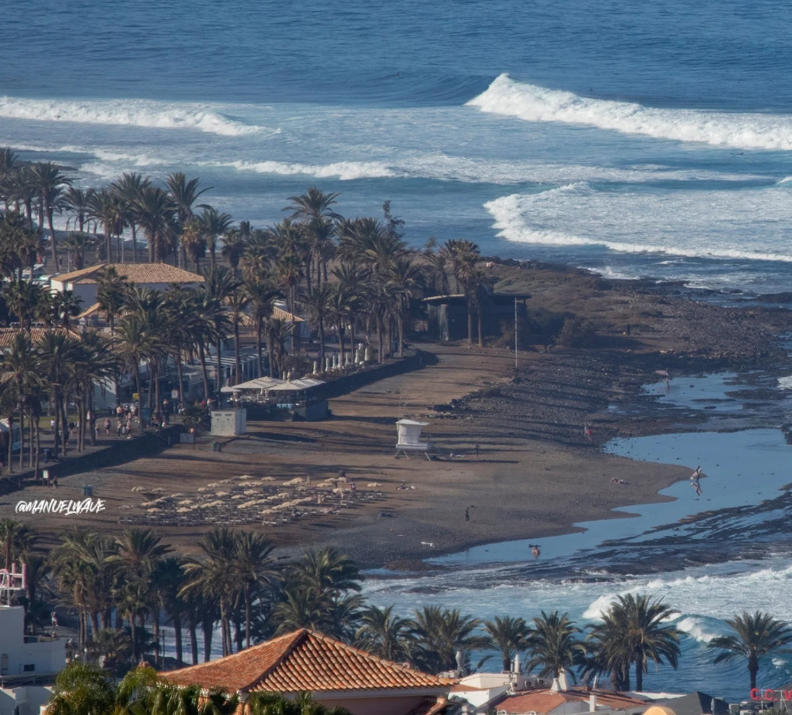 EL REEF — Las Américas, Tenerife